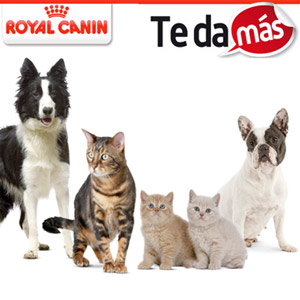 Royal Canin te da más, programa de fidelización