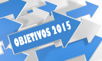 objetivos 2015